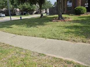 Lesley T.'s grass cutting service result