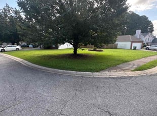 Brian D.'s turf maintenance service result