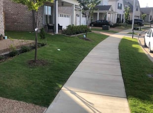 Linda S.'s lawn care services service result