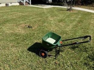 Ernest M.'s Lawn Seeding service result