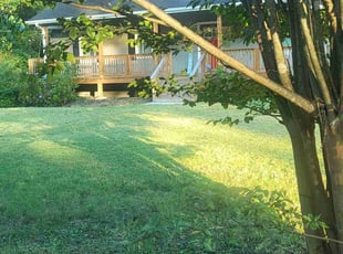 Lauren C.'s lawn care services service result