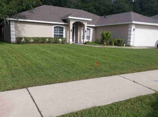 Mattie P.'s lawn care services service result