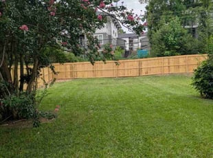 Ronald D.'s lawn care services service result