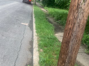 Gordon R.'s Bush Trimming service result