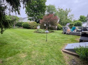 Leye A.'s yard maintenance service result