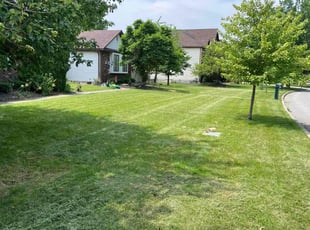 Tracey N.'s turf maintenance service result