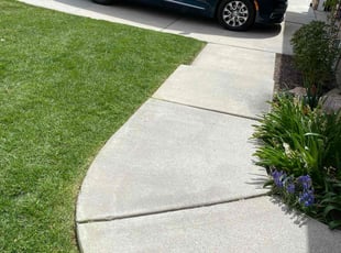 Patricia R.'s grass maintenance service result