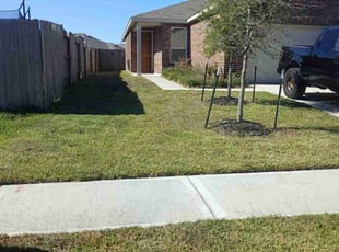 Krystal F.'s lawn care service result