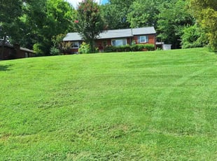 Carie B.'s grass cutting service result