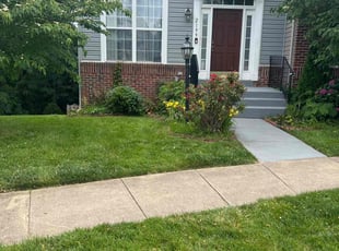 Noah B.'s turf maintenance service result
