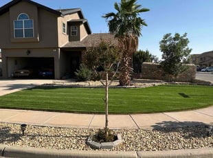 Derrick B.'s lawn care service result