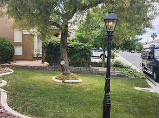 Robert G.'s turf care service result