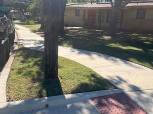 Lisa O.'s grass maintenance service result