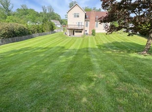 Angel G.'s grass maintenance service result