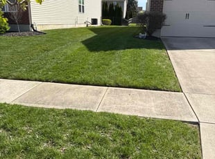 William R.'s turf care service result