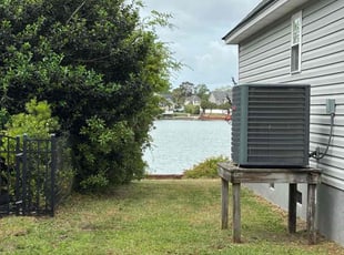 Basma P.'s Bush Trimming service result