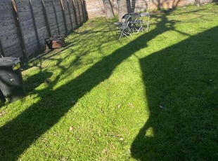 Trisha A.'s grass maintenance service result