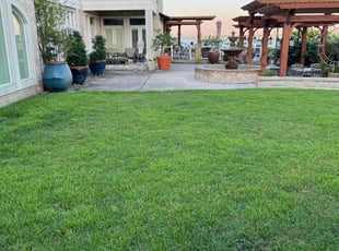 Tara M.'s turf maintenance service result