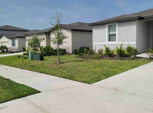 Ernesto T.'s turf care service result