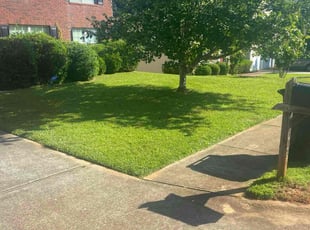 Mark M.'s lawn care service result