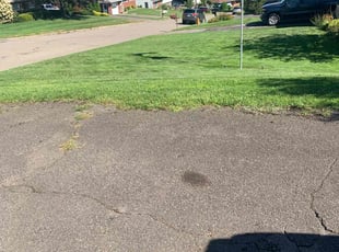 Alicia J.'s grass maintenance service result