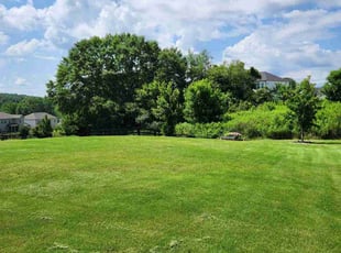 Judith B.'s lawn care service result
