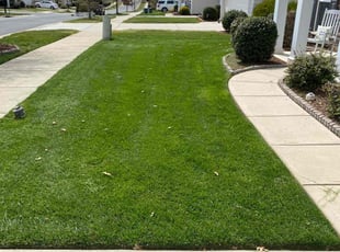 Jimmy M.'s grass cutting service result