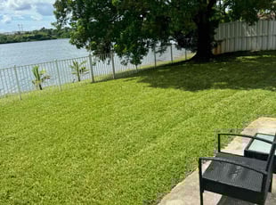 Kristin C.'s turf care service result