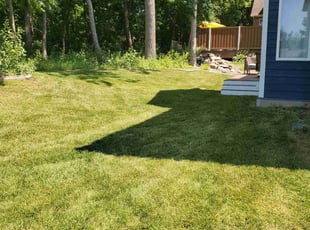 Andy t.'s grass maintenance service result