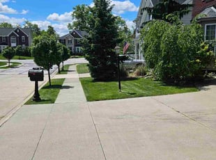 Charles A.'s turf care service result