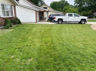 Donna R.'s grass cutting service result