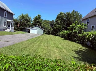 Dale Z.'s turf maintenance service result