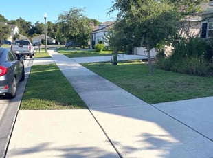 Megan M.'s lawn care service result