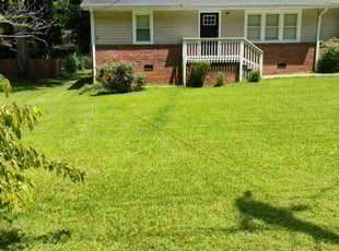 Towanna H.'s lawn service service result