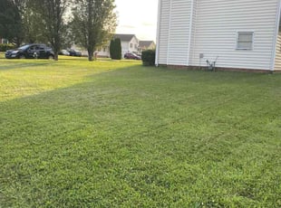 Malik G.'s turf maintenance service result