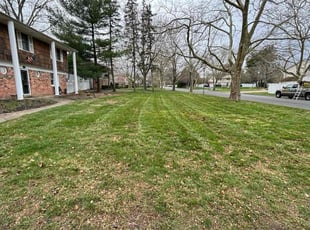 Marcus F.'s grass cutting service result