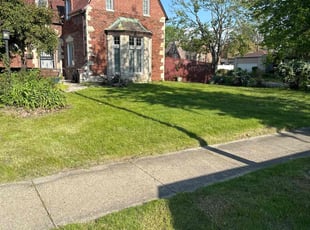 Elizabeth M.'s lawn care service result