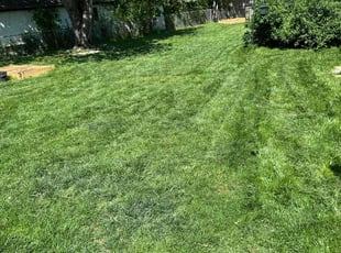 Paula R.'s lawn service service result