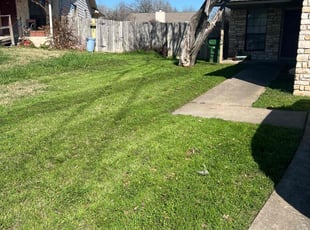 Tim W.'s grass maintenance service result