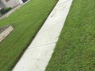 Colby R.'s grass cutting service result
