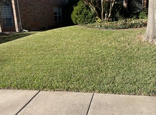 Travis R.'s Leaf Removal service result