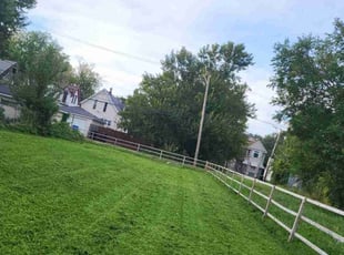 Jian G.'s grass cutting service result