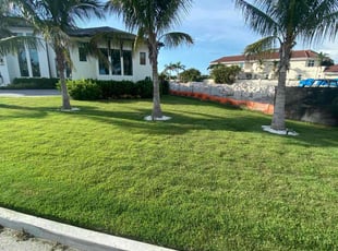 S D.'s turf maintenance service result