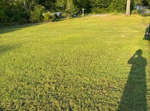Elizabeth S.'s landscape maintenance service result