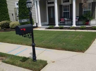 Marcellus P.'s lawn service service result