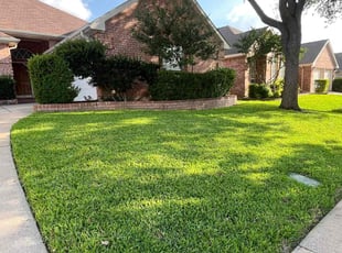 Pat B.'s grass cutting service result