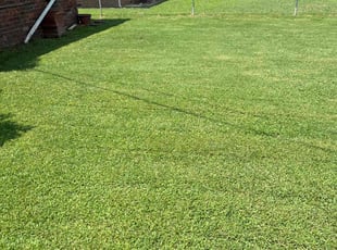 Riley D.'s lawn maintenance service result