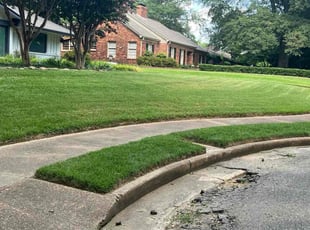 Lamonica Q.'s grass maintenance service result