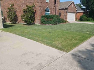 Elba S.'s lawn care services service result
