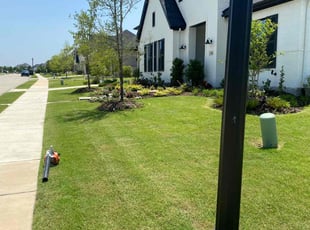 Mario P.'s grass cutting service result